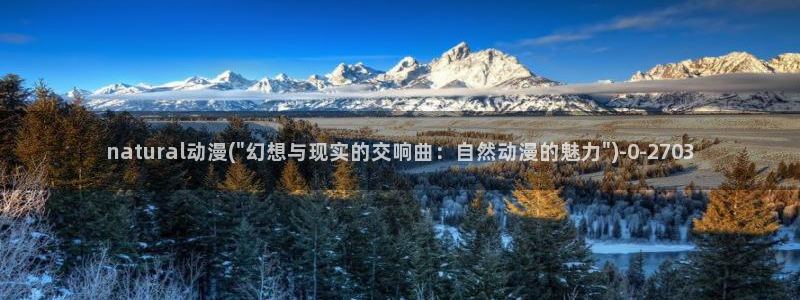动漫
