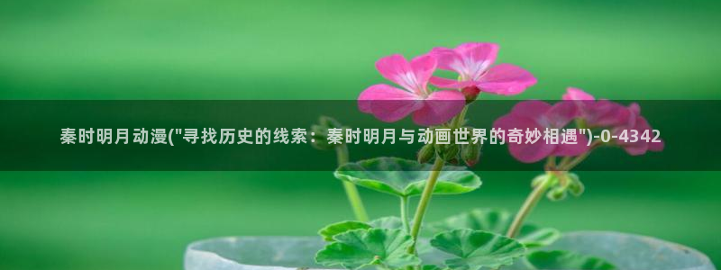 斗罗大陆动漫在线观看